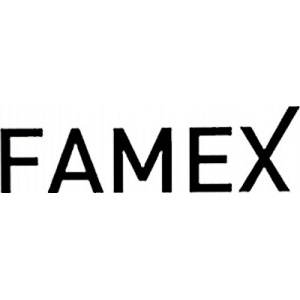 FAMEX Masks